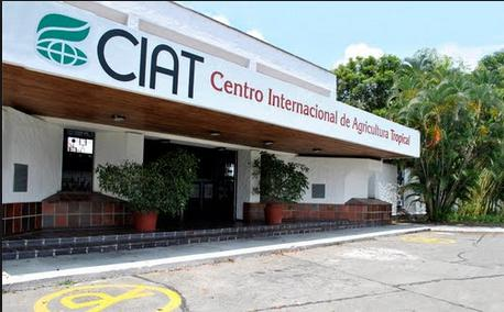 Culmina la segunda alianza exitosa entre el Centro de Educación Virtual y el CIAT, la cual refuerza la capacitación internacional.