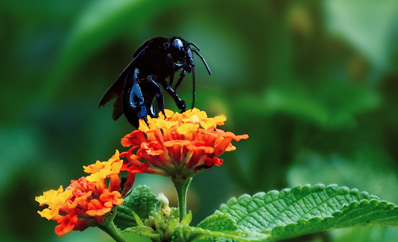 La academia, gran aliado de la biodiversidad: universidades presentan sus proyectos en Colombia BioConecta